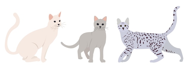 Flaches Design der netten Katzen lokalisierter Vektor