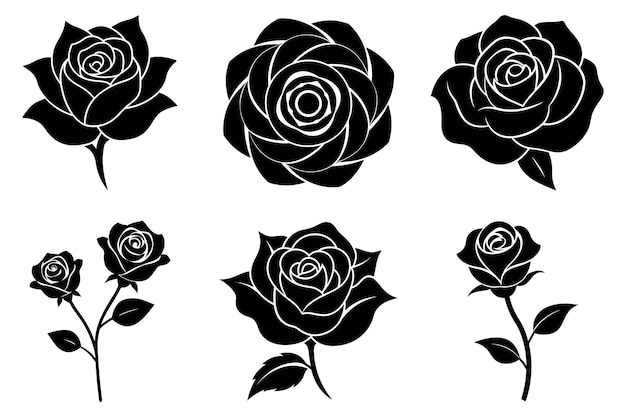 Flaches Rosenbündel für Designs