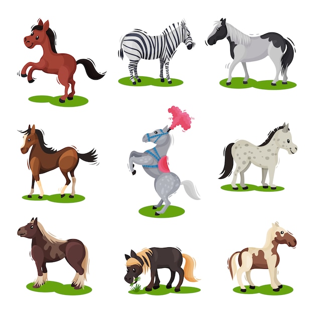 Flaches set verschiedener pferde. hufsäugetier. thema wildtiere und fauna. elemente für kinderbuch