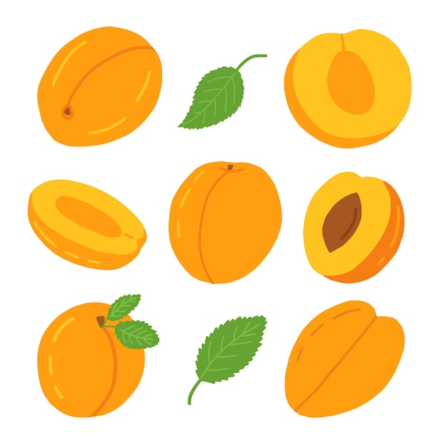Flaches vektor-aprikosen-set verschiedene pfirsiche mit blättern auf weißem hintergrund