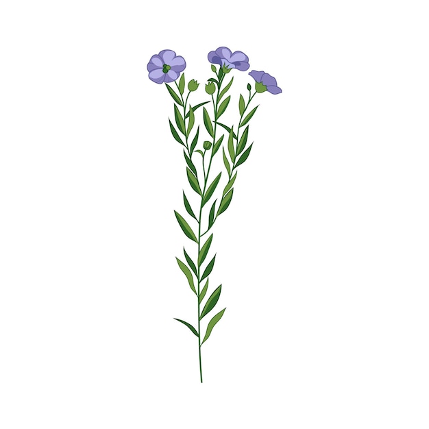 Vektor flachs wilde blume handgezeichnete detaillierte illustration