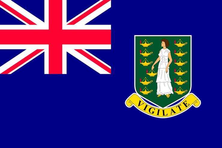 Flagge der Britischen Jungferninseln im karibischen Meer Patriotisches Landessymbol mit offiziellen Farben Flagge des karibischen abhängigen Territoriums Nationale Identitätsvektorillustration im flachen Stil