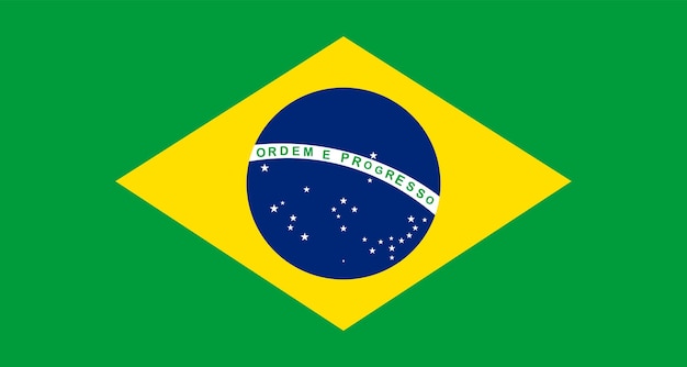 Vektor flagge der föderativen republik brasilien