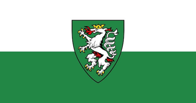 Flagge der stadt graz in österreich vektorbild