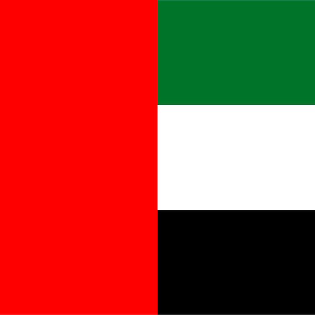 Flagge der vereinigten arabischen emirate offizielle farben vektorillustration