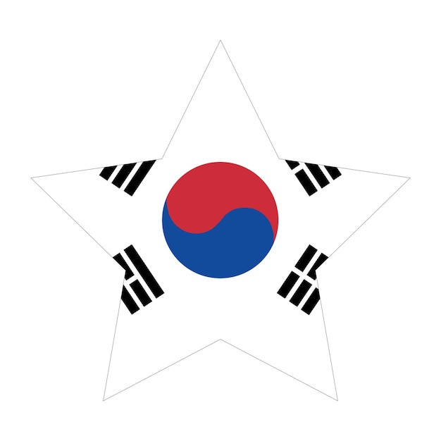 Vektor flagge südkoreas in form der flagge südkoreas