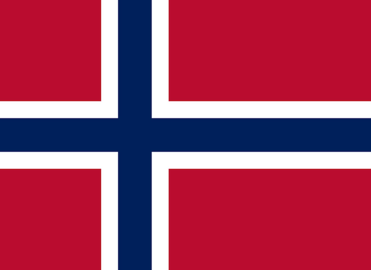 Vektor flagge von norwegen flaggenstaat vektor illustration