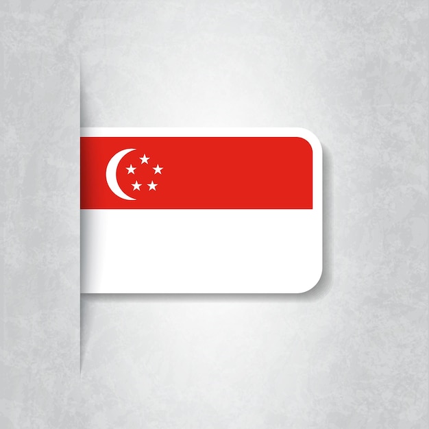 Vektor flagge von singapur