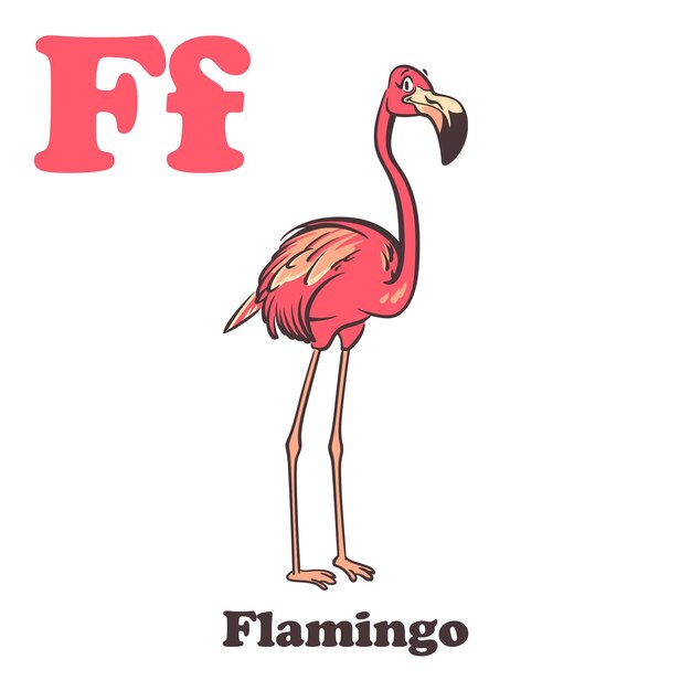 Vektor flamingo alphabet zeichentrickfigur für kinder