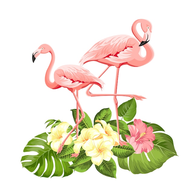 Flamingo Hintergrund.