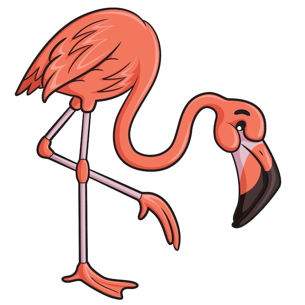 Flamingo-karikatur