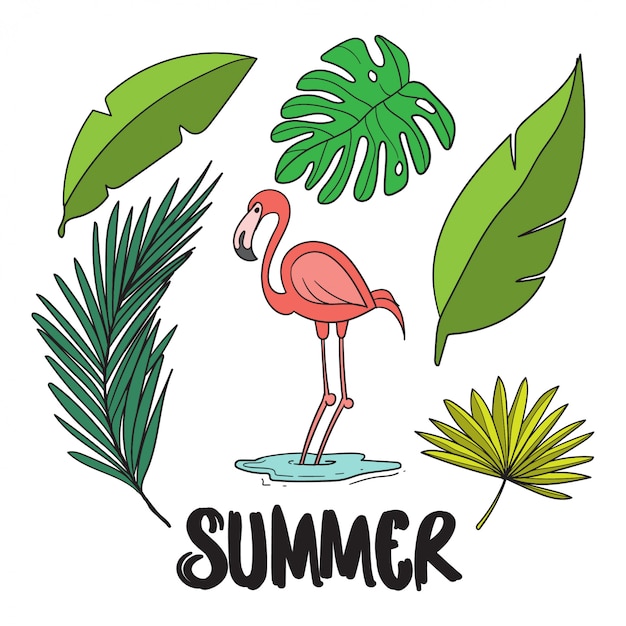 Vektor flamingo und blätter im sommer