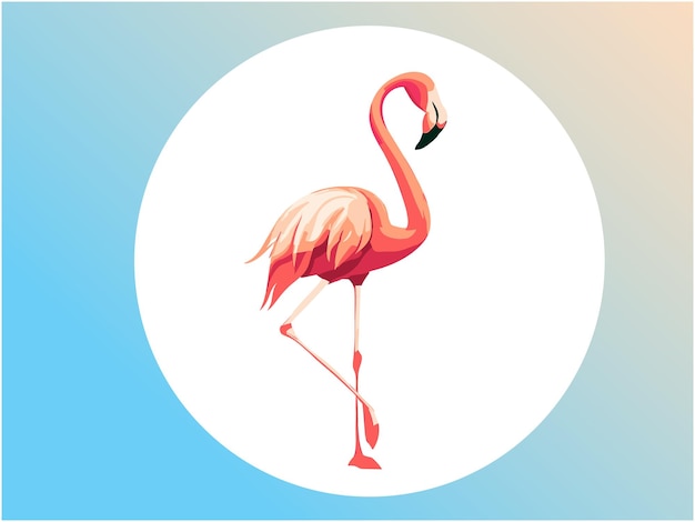 Flamingo-vektorkunst für vogeldesign