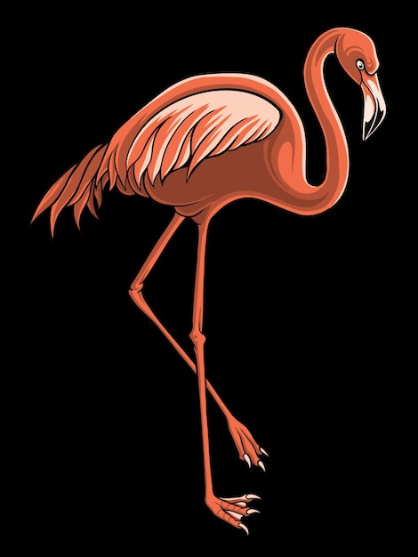 Flamingo-vogel-illustrator-vektordesign für elemente, editierbare farben