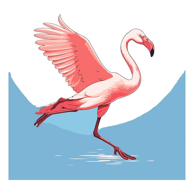 Vektor flamingo von einem flamingo