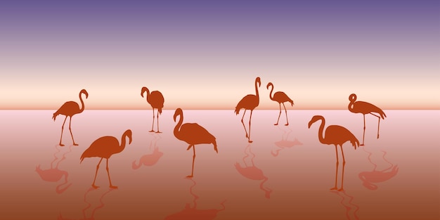 Vektor flamingo2