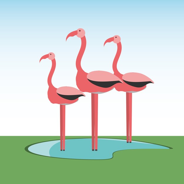 Flamingos vogel symbol