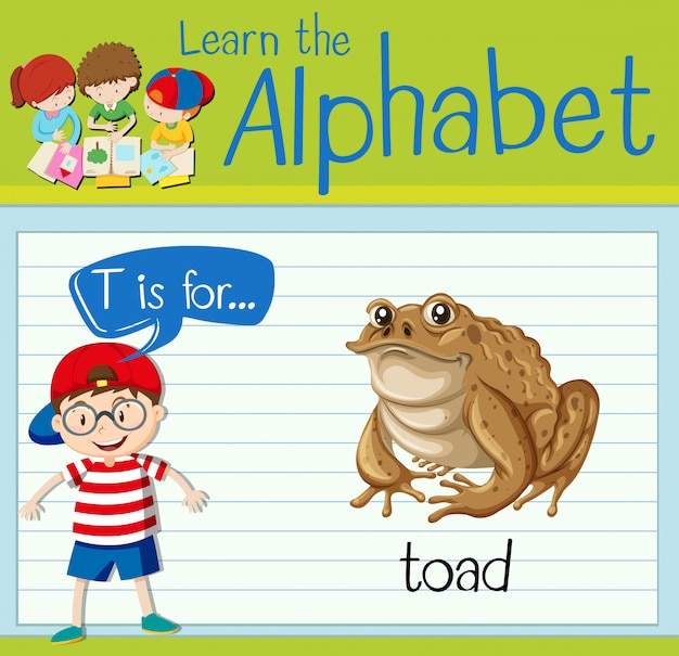 Vektor flashcard-alphabet t ist für kröte