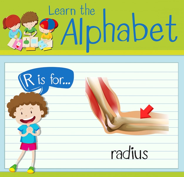 Flashcard-buchstabe r steht für radius