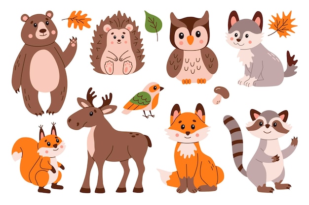 Flattstil-Illustrationssatz mit niedlichen Waldtieren, darunter Bär, Igel, Eule, Wolf, Fuchs, Elch, Waschbären, Eichhörnchen, Vogel. Perfekt für Kinder, Grüßkarten und digitale Projekte.