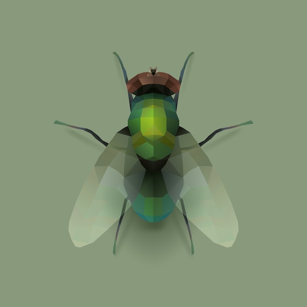 Fliege, realistische polygonillustration