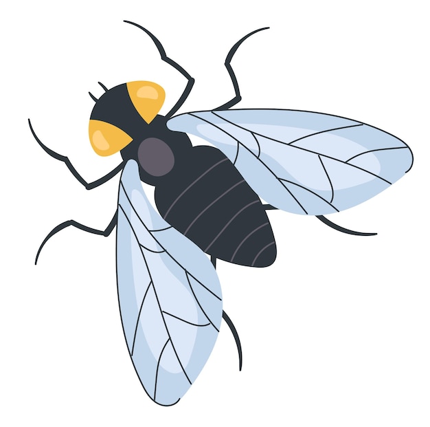 Vektor fliegen-insekten-isolationskonzept flache grafik-design-illustration