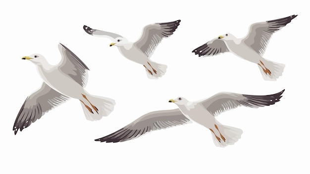 Fliegende Möwen
