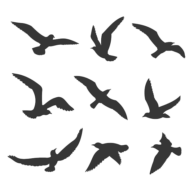 Fliegende Vögel Silhouette gesetzt
