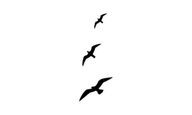Fliegende Vögel Vektor und Illustration