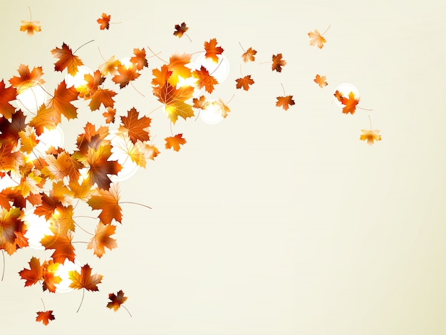 Fliegender Herbst hinterlässt Hintergrund mit Copyspace.