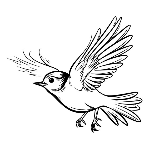 Vektor fliegender vogel schwarz-weiß-vektor-illustration eines fliegenden vogels