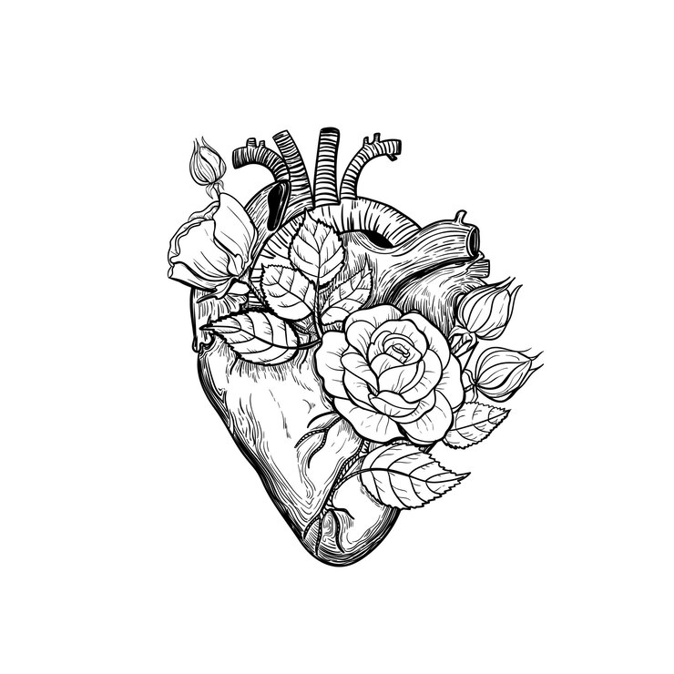 Vektor floral anatomisches menschliches herz herz vintage tattoo print mit herz in blühenden rosen