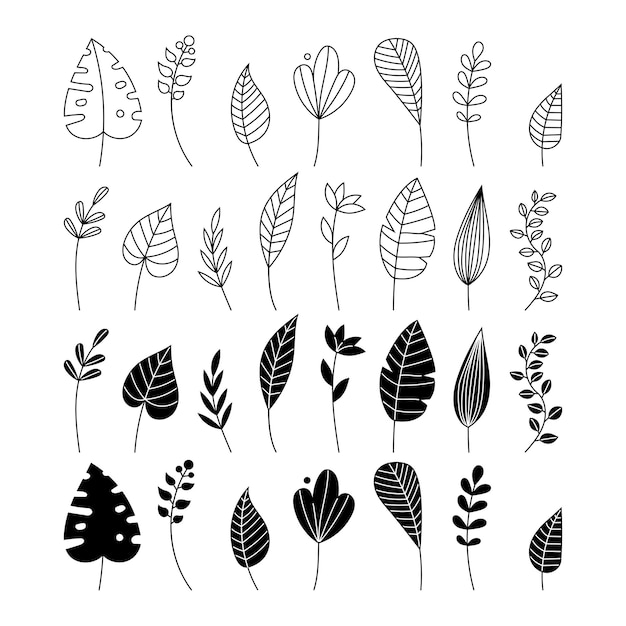 Vektor florale doodle-designelemente handgezeichnete dekorative blätter und kränze blumenornament-teiler äste mit blättern und blumen umriss- und silhouettenvariationen