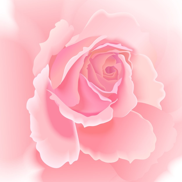 Vektor flower rose hintergrund.