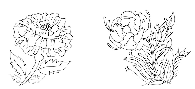 Vektor flower vector