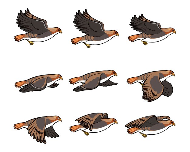 Flying hawk spiel charakteranimation sprite