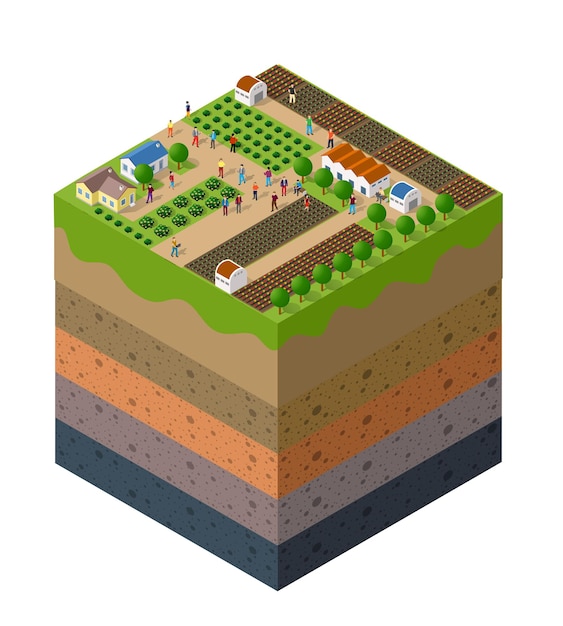 Vektor forstwirtschaftliche bodenschichten geologische und unterirdische