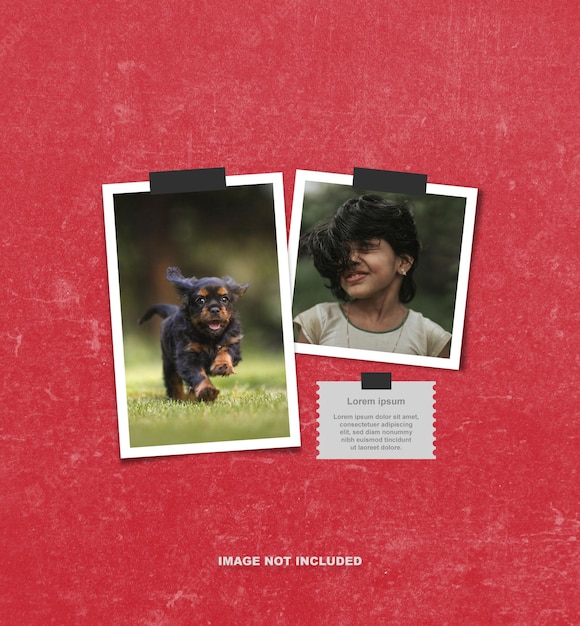 Foto-Polaroid-Vektor-Vorlage