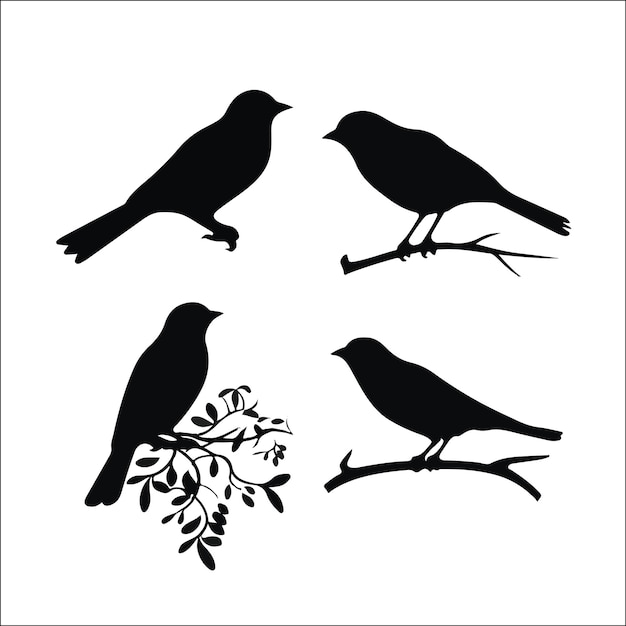 Foto von Vogel-Silhouetten Vektor-Sammlung Design