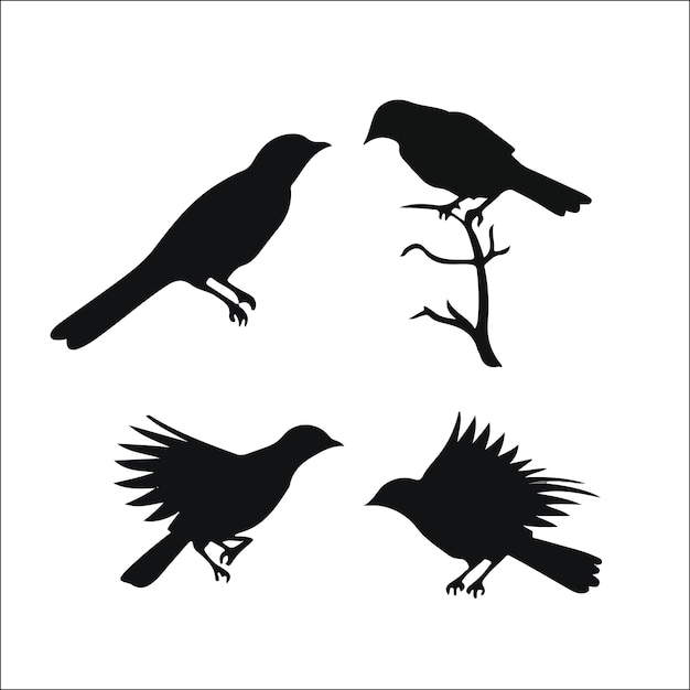 Foto von Vogel-Silhouetten Vektor-Sammlung Design