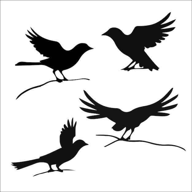 Foto von Vogel-Silhouetten Vektor-Sammlung Design