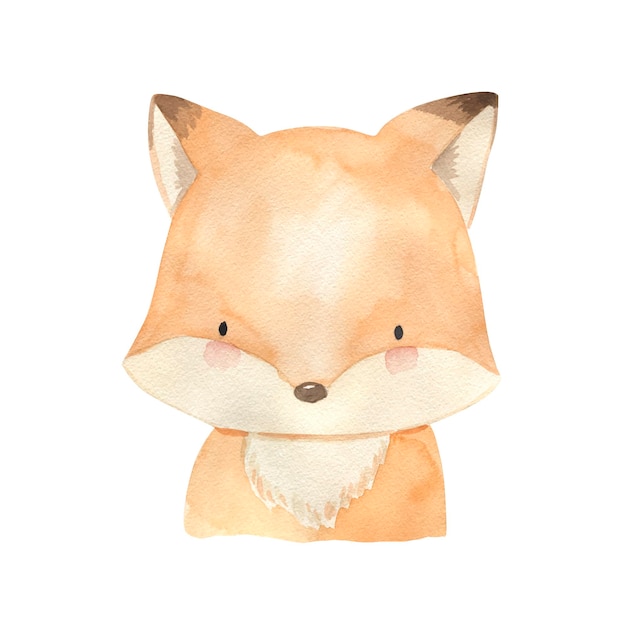 Vektor fox-aquarellillustration für kinder