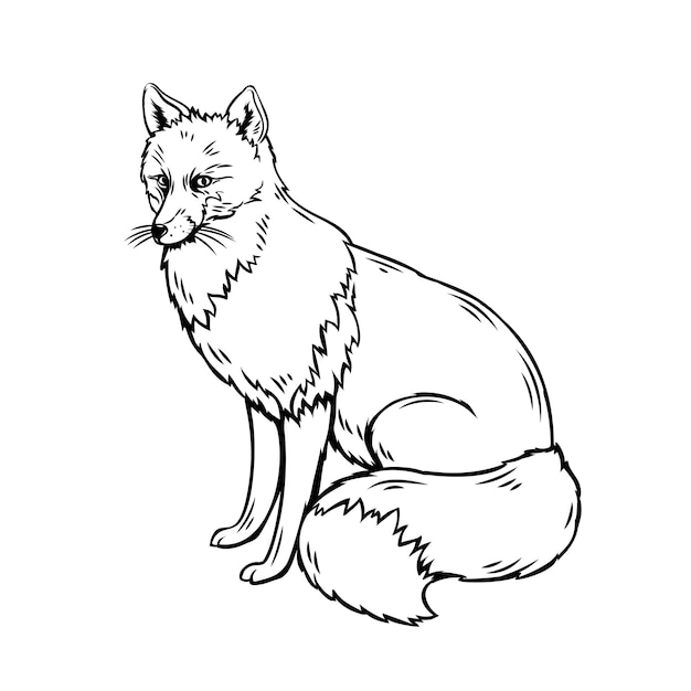 Fox umriss illustration. waldtierskizze für zoo