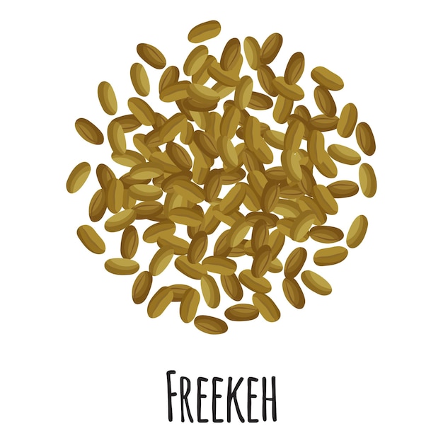 Freekeh für vorlagenbauernmarktdesign, -etikett und -verpackung. natürliches energieprotein bio-superfood. isolierte illustration der vektorkarikatur.