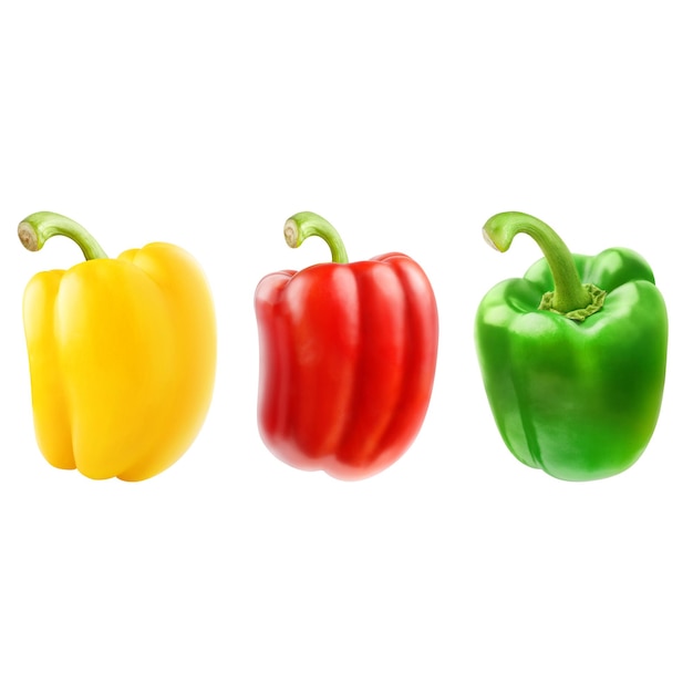 Freier Vektor-Satz von drei realistischen Paprika oder bulgarischen rot-grünen und gelben