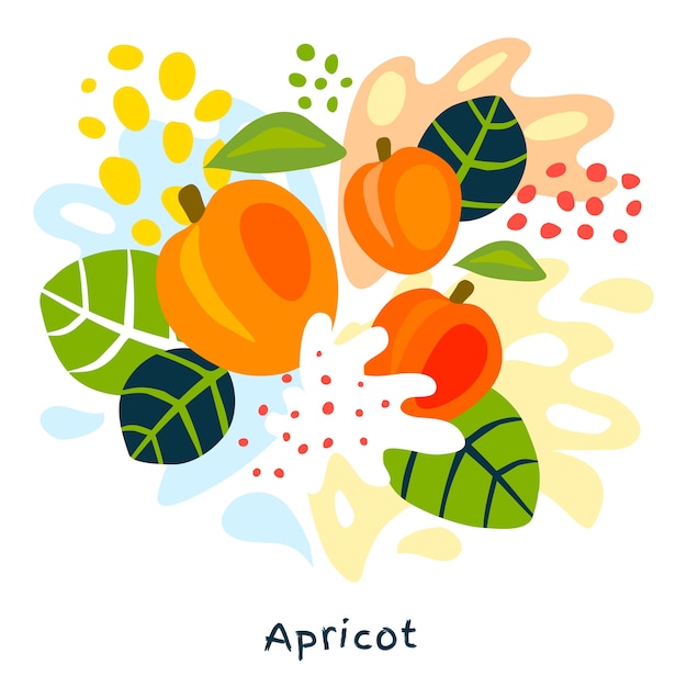 Frische aprikosenfruchtsaftspritzer handgezeichnete illustration