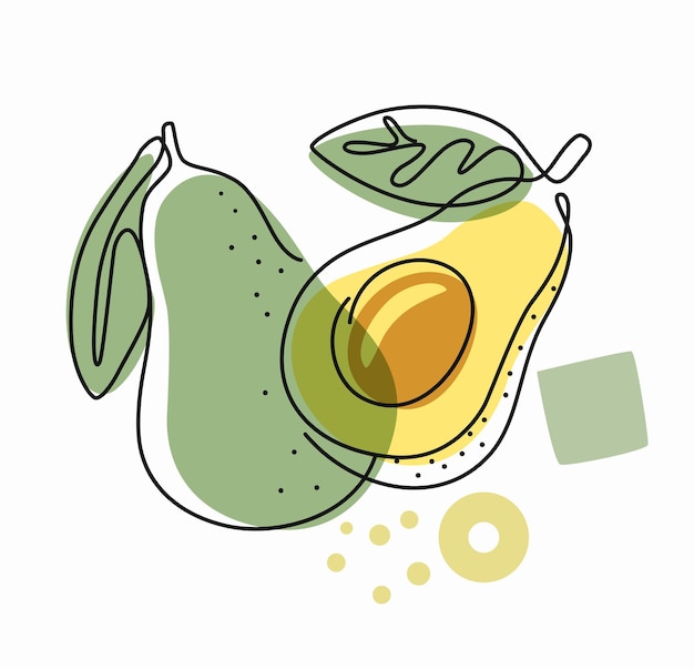 Vektor frische avocado auf farbigem abstraktem hintergrund