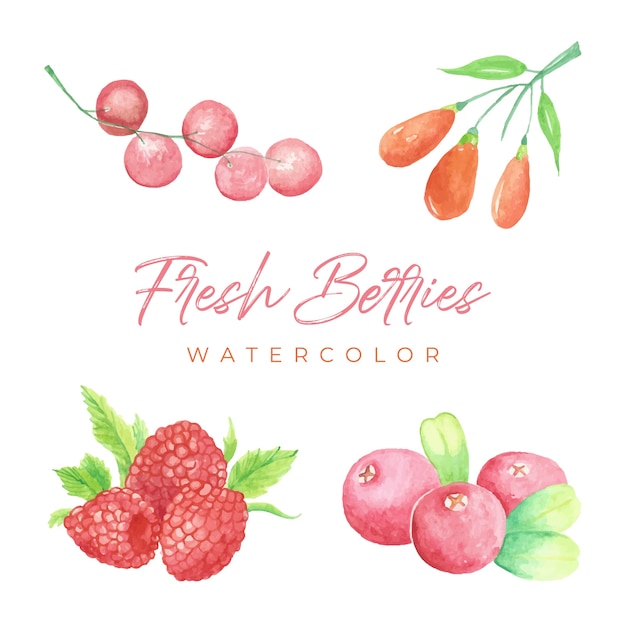 Vektor frische beeren aquarell