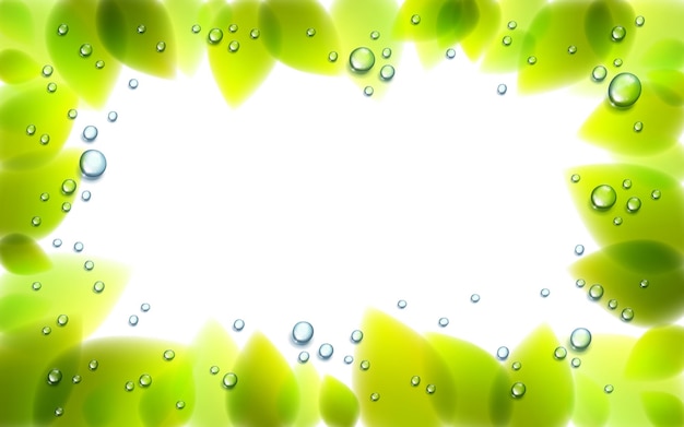 Frische grüne blätter und wasserregentropfen oder kondensatvektor realistische transparente illustration, sommer- oder frühlingsnaturhintergrund mit kopienraum für text.