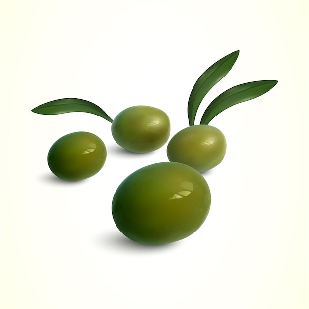 Frische grüne Oliven mit Blättern